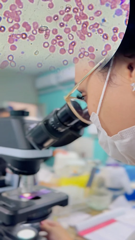 Bastidores de estudos e prática em laboratório